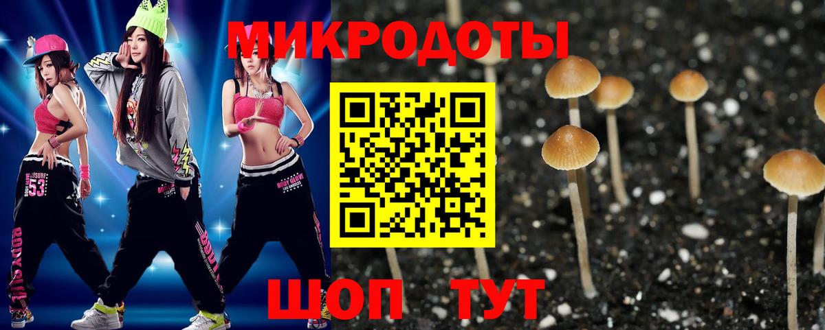 Псилоцибиновые грибы Psilocybine cubensis Южно-Сахалинск